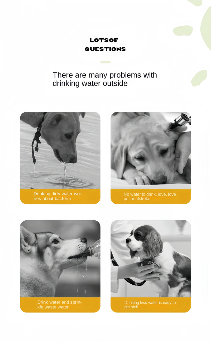 Garrafa para Pet Multifunção