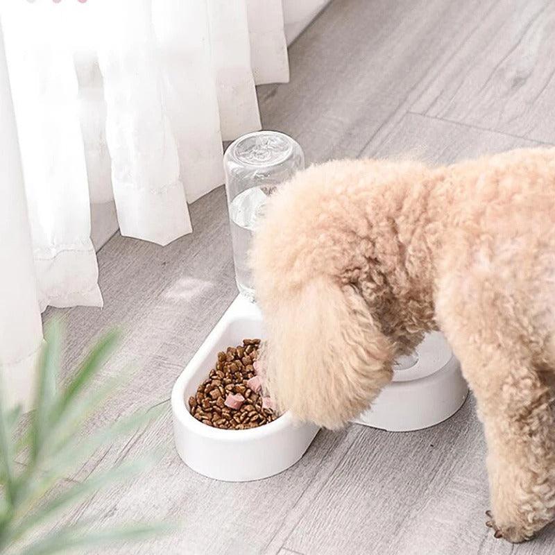 Tigela CãoCat | COLOQUE SUA OFERTA AQUI