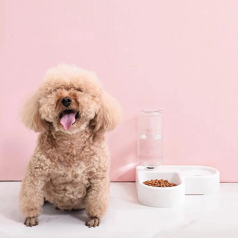 Tigela CãoCat | COLOQUE SUA OFERTA AQUI